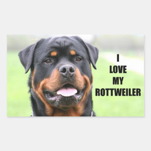 I Love My Rottweiler Rectangular Sticker