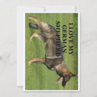 I love my sable german shepherd