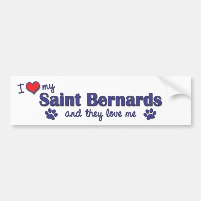 I Love My Saint Bernards (Multiple Dogs) Bumper Sticker (Front)