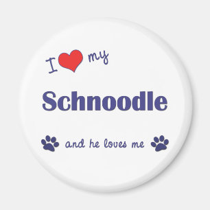 I Love My Schnoodle (Male Dog) Magnet