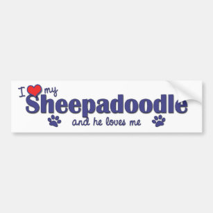 I Love My Sheepadoodle (Male Dog) Bumper Sticker