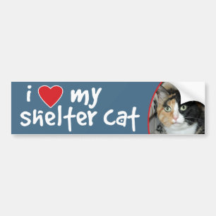 I Love My Shelter Cat Calico Bumper Sticker/Decal Bumper Sticker