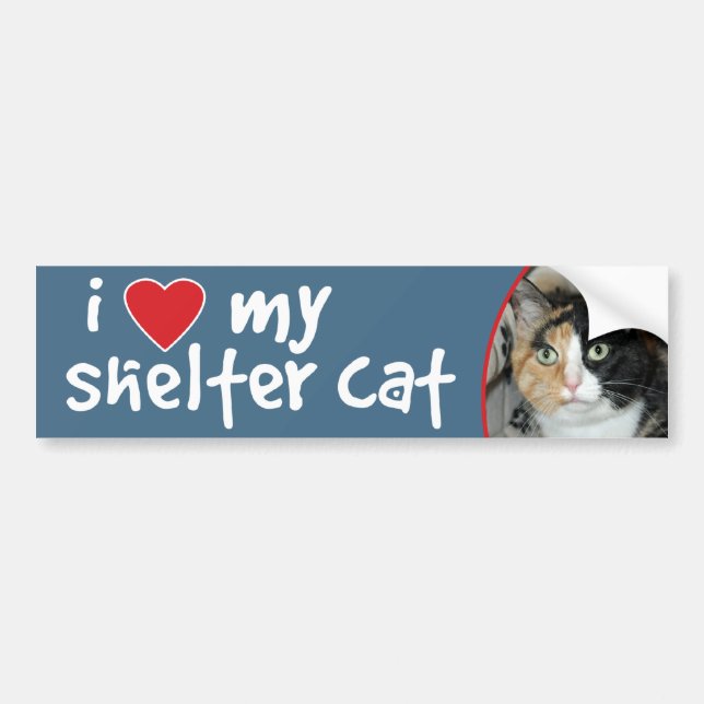 I Love My Shelter Cat Calico Bumper Sticker/Decal Bumper Sticker (Front)