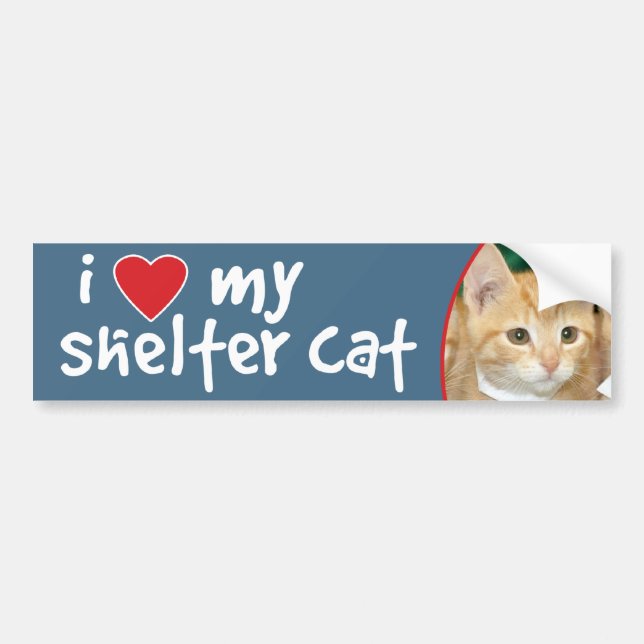 I Love My Shelter Cat Orange Kitten Bumper Sticker (Front)