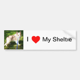 I Love My Sheltie bumper sticker