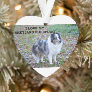 I Love My Shetland Sheepdog Ornament