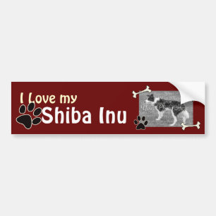 I love my Shiba Inu Bumper Sticker