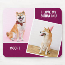 I Love My Shiba Inu Two Photo