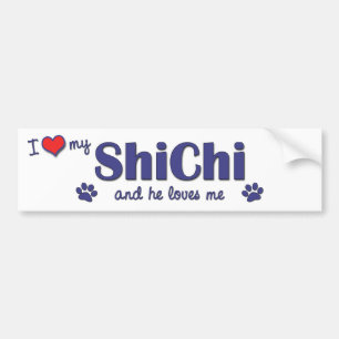 I Love My ShiChi (Male Dog) Bumper Sticker