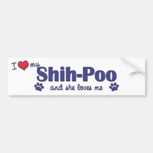 I Love My Shih-Poo (Female Dog) Bumper Sticker
