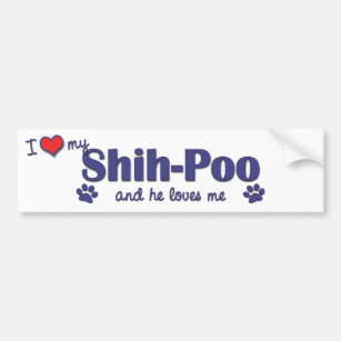 I Love My Shih-Poo (Male Dog) Bumper Sticker