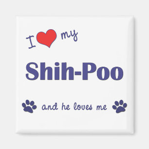 I Love My Shih-Poo (Male Dog) Magnet