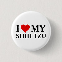 I Love my Shih Tzu