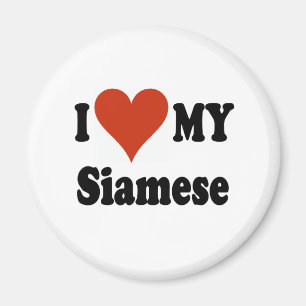 I Love My Siamese Cat Merchandise Magnet