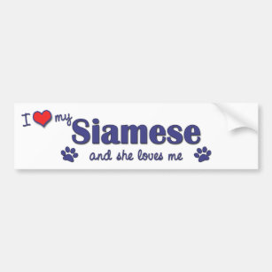 I Love My Siamese (Female Cat) Bumper Sticker