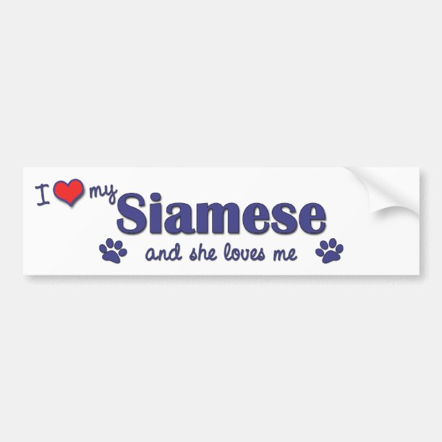 I Love My Siamese (Female Cat) Bumper Sticker (Front)