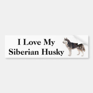 I Love my Siberian Husky Bumper Sticker