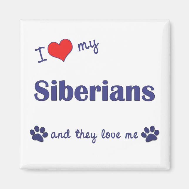 I Love My Siberians (Multiple Cats) Magnet (Front)
