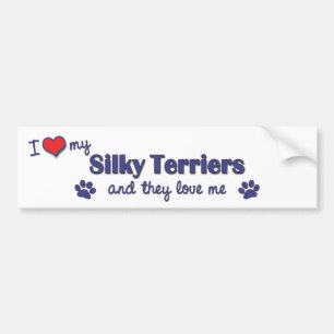 I Love My Silky Terriers (Multiple Dogs) Bumper Sticker