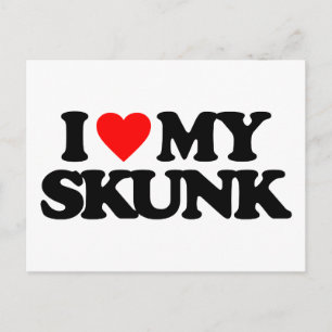 I LOVE MY SKUNK POSTCARD