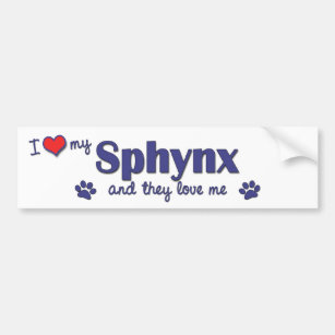 I Love My Sphynx (Multiple Cats) Bumper Sticker