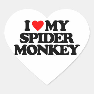 I LOVE MY SPIDER MONKEY HEART STICKER