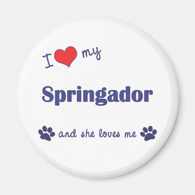 I Love My Springador (Female Dog) Magnet (Front)