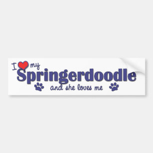I Love My Springerdoodle (Female Dog) Bumper Sticker