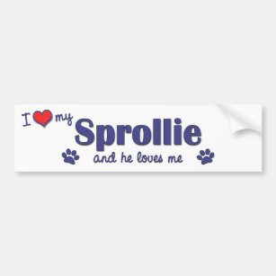 I Love My Sprollie (Male Dog) Bumper Sticker