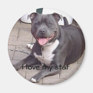 I love my staf magnet