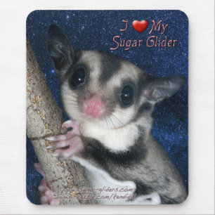 I Love my Sugar Glider - Cutest Glider series Mouse Mat