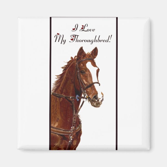I Love My Thoroughbred! Horse Magnet (Front)