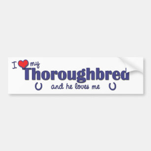 I Love My Thoroughbred (Male Horse) Bumper Sticker