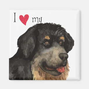 I Love my Tibetan Mastiff Magnet