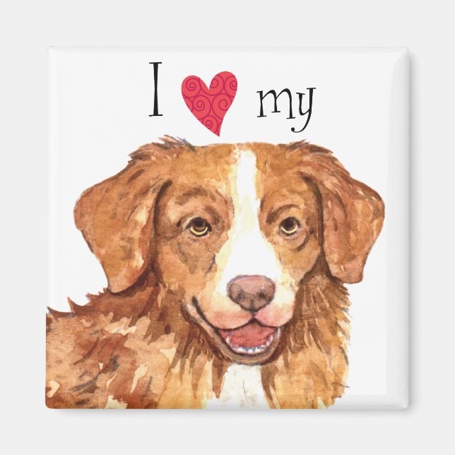 I Love my Toller Magnet (Front)