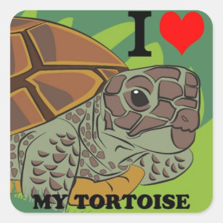 i_love_my_tortoise_square_sticker-r3af2423292b24a6c8c4f26f2e4837289_v9wf3_8byvr_324.jpg