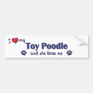 I Love My Toy Poodle (Female Dog) Bumper Sticker