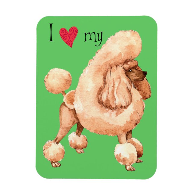 I Love my Toy Poodle Magnet (Vertical)