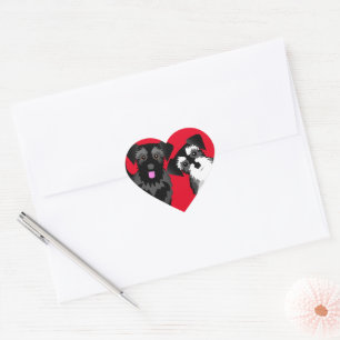 I Love My Two Cute Schnauzers Heart Sticker