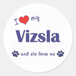 I Love My Vizsla (Female Dog) Classic Round Sticker