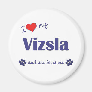 I Love My Vizsla (Female Dog) Magnet