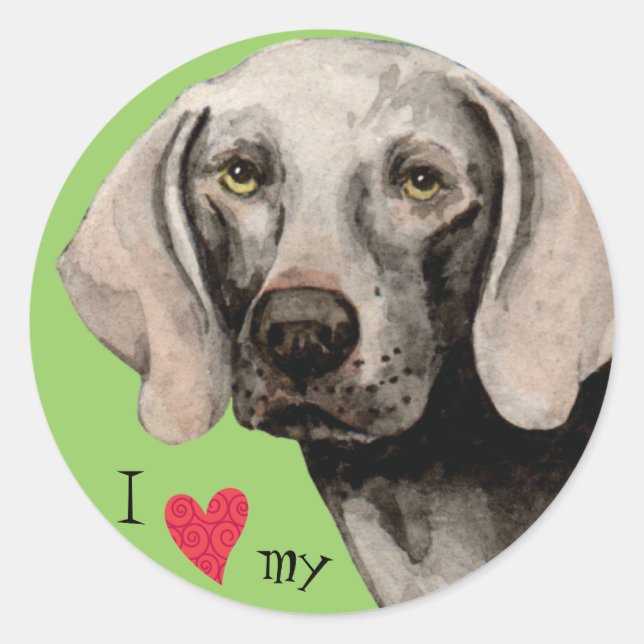 I Love my Weimaraner Classic Round Sticker (Front)