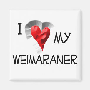 I Love My Weimaraner Magnet