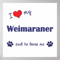 I Love My Weimaraner (Male Dog)