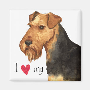 I Love my Welsh Terrier Magnet