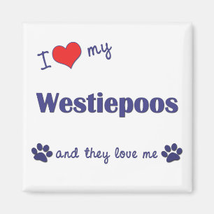 I Love My Westiepoos (Multiple Dogs) Magnet