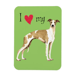 I Love my Whippet Magnet