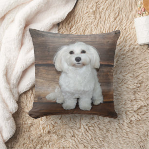 I Love My White Buddy Maltese Cushion