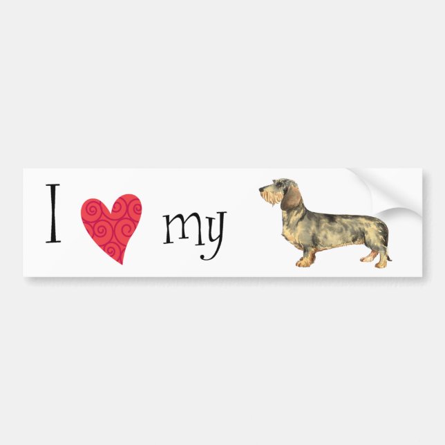 I Love my Wirehaired Dachshund Bumper Sticker (Front)