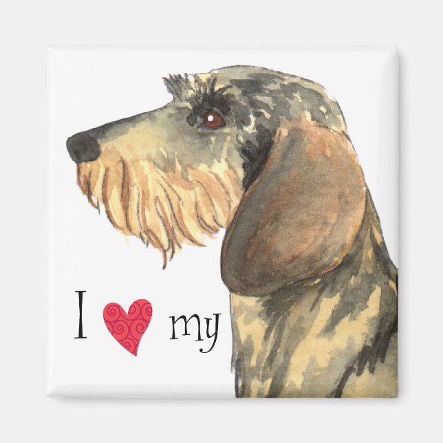 I Love my Wirehaired Dachshund Magnet (Front)